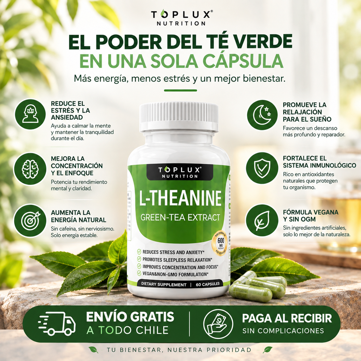 ¡APAGA LA VOZ EN TU CABEZA Y DUERME PROFUNDO! THEANINA GREEN TEA EXTRACT 60 CAP.