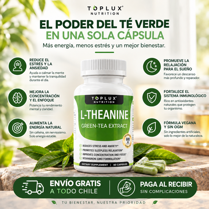¡APAGA LA VOZ EN TU CABEZA Y DUERME PROFUNDO! THEANINA GREEN TEA EXTRACT 60 CAP.